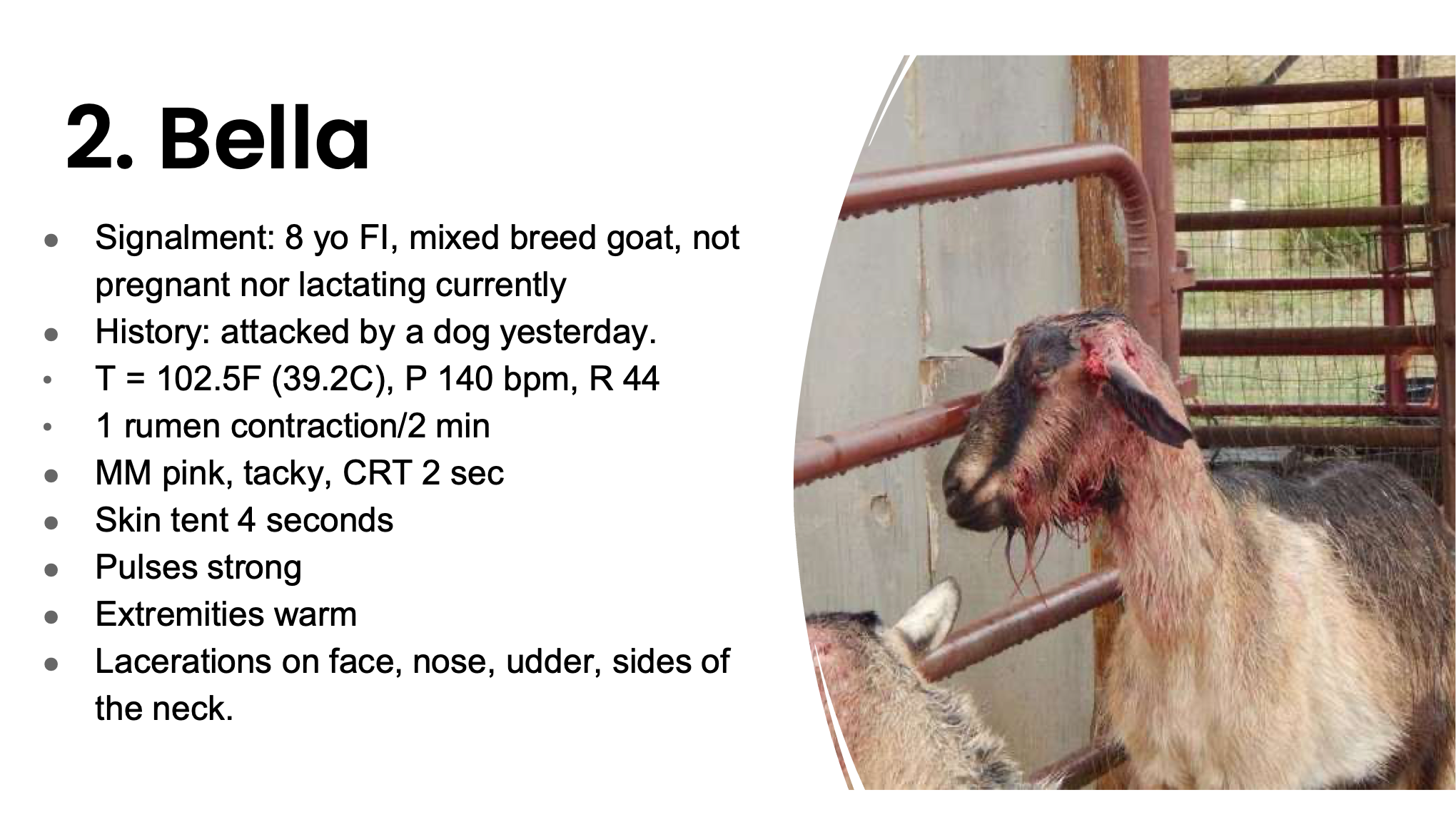 <p>Is Bella dehydrated, hypovolemic, or both?</p>