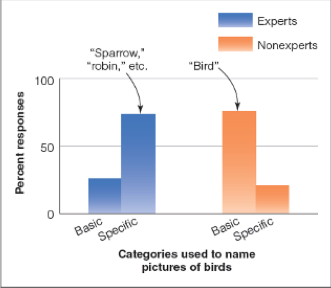 <p>someone knowledgable or skilled in a particular area, experts solve problems in their field <strong>more quickly</strong> and <strong>more often</strong> than beginners (ex: a teacher manages her students on day 10 compared to day 1 because she gains experience), experts also <strong>possess more knowledge </strong>about their field compared to novices since they <strong>organize their knowledge differently </strong>than novices  </p>
