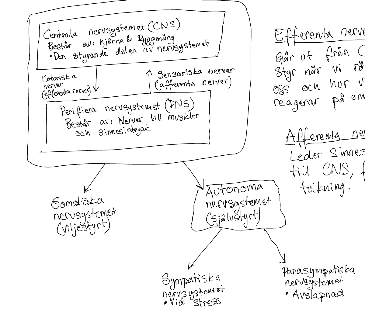 knowt flashcard image