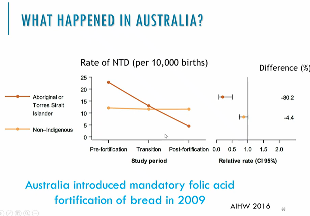 <p>fortificaiton results in australia </p>