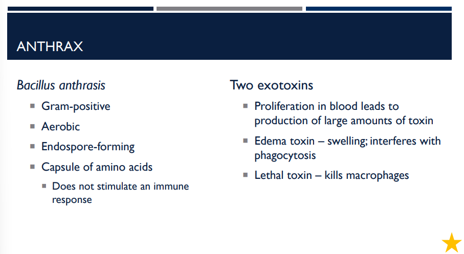 <p>Which exotoxin involved with anthrax causes swelling and interferes with phagocytosis?</p>