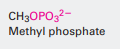 <p>This is known as a monophosphate. </p>