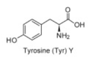 <p>Tyr</p>