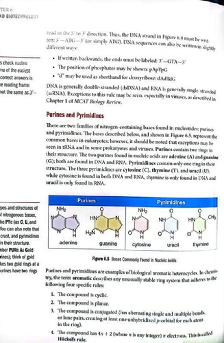 <p>Nitrogenous bases with two ring structures.</p>