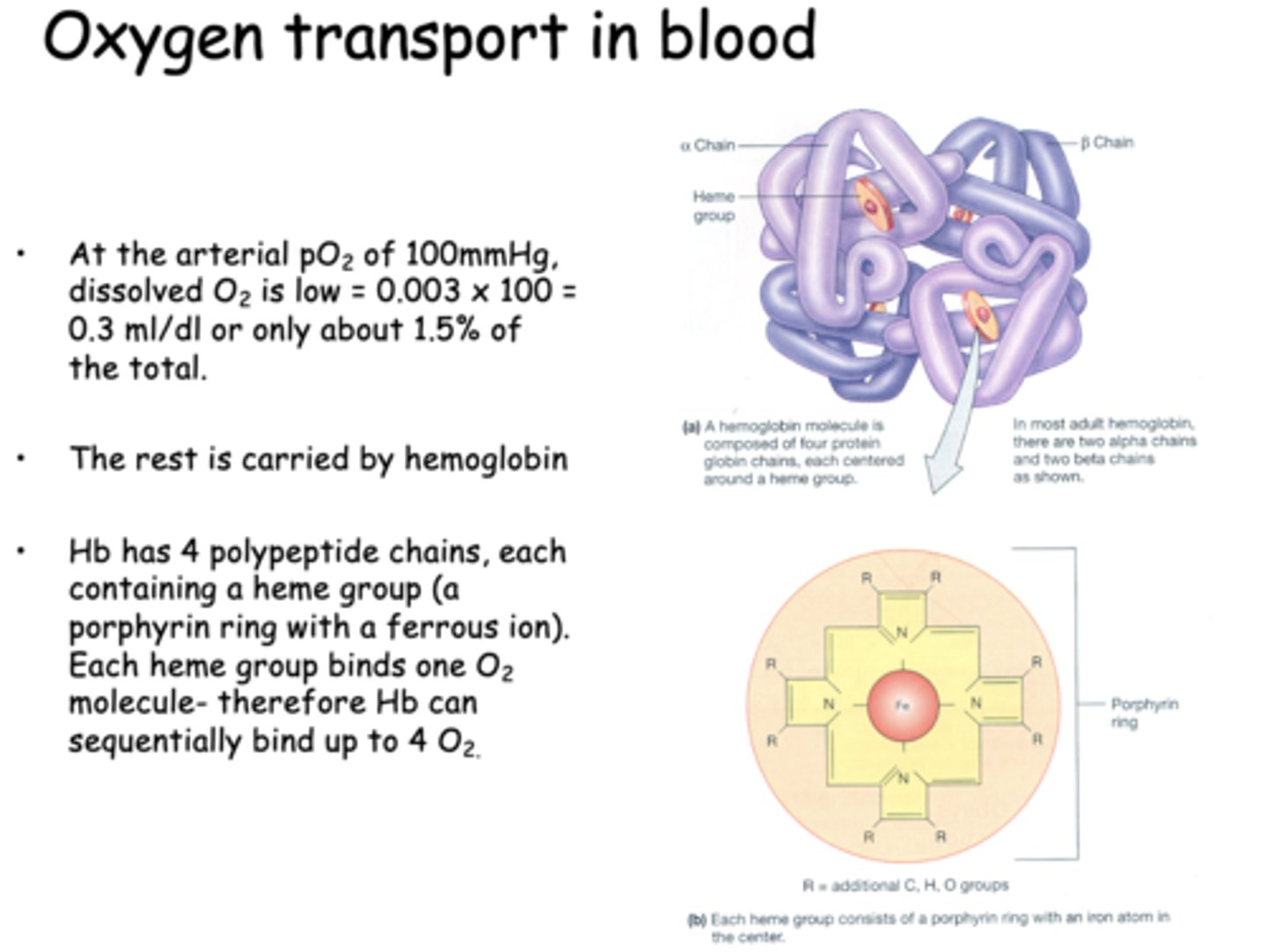 <p>hemoglobin</p>