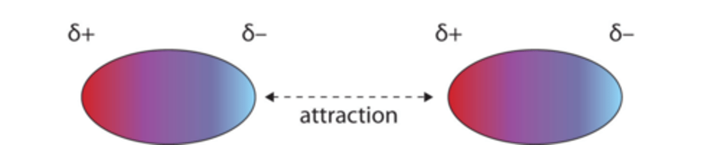 <p>van der waals forces explaination</p>