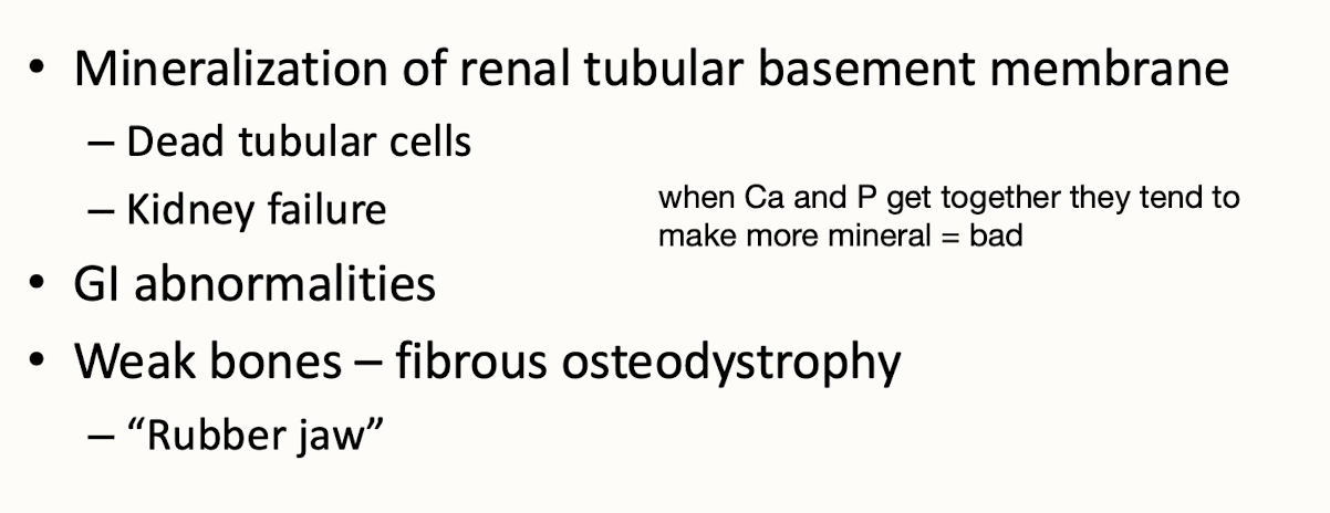 <p>Mineralization of kidney tubules, GI problems, weak bones, adenomas palpable more in cats than dogs&nbsp;</p><ul><li><p>weakness, PU/PD</p></li></ul><p></p>