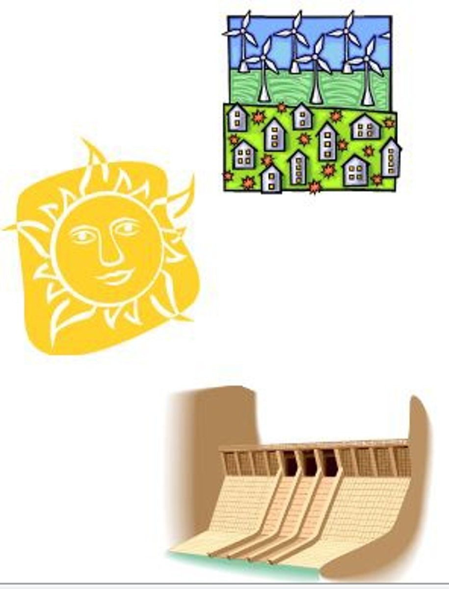 <p>Items needed to survive: water, air, space, light, shelter</p>