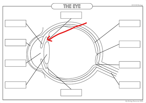<p>What is the part in the diagram called?</p>