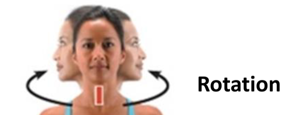 <p>Rotation</p>
