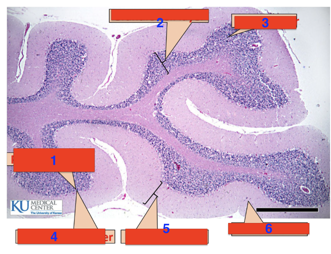 <p>4?</p>