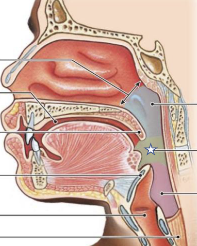 <p>What is this structure?</p>