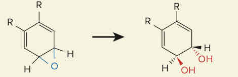 <p>La siguiente figura representa una <strong>reacción de hidrolisis</strong> implicada en el metabolismo, a que fármaco corresponde:</p>