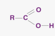 <p>Is a functional group in organic molecules with the structure - COOH <strong>(a carbon double-bonded to an oxygen and also bonded to a hydroxyl group -OH)</strong></p><p>it acts as an acid, easily donating a hydrogen ion (H+) due to oxygen’s strong electronegativity <strong>(it takes hydrogen’s electrons —breaking the bonds when in water). </strong>When it loses this hydrogen, the group becomes negatively charged, which makes the molecule<mark data-color="yellow" style="background-color: yellow; color: inherit;"> polar, hydrophilic, and reactive</mark> <strong>(means it can easily take part in chemical reactions that change or build molecules because when it becomes acidic it allows it to interact with bases or other charged groups in the cell)</strong></p><p>This is why molecules like amino acids and fatty acids are acidic and dissolve well in water. </p><p>________ groups are also key in chemical reactions such as dehydration synthesis and hydrolysis, allowing larger molecules to form or break apart. </p><p>Overall, the ______ group is essential in amino acids <strong>(helping proteins form peptide bonds</strong>), in fatty acids <strong>(giving them their acidic property)</strong>, and in energy reactions like the citric acid cycle.</p>