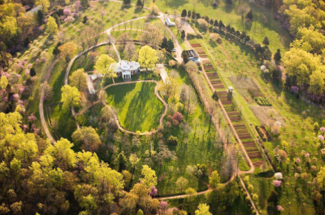 <p>What is the name of the site?</p>