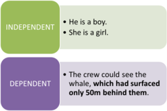 Includes a subordinate conjunction, such as because, while, etc.