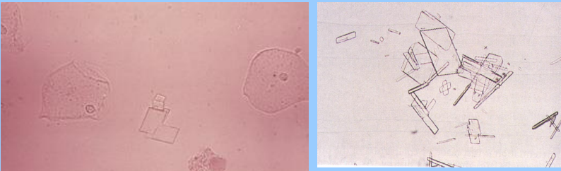 <p>What are these?</p>