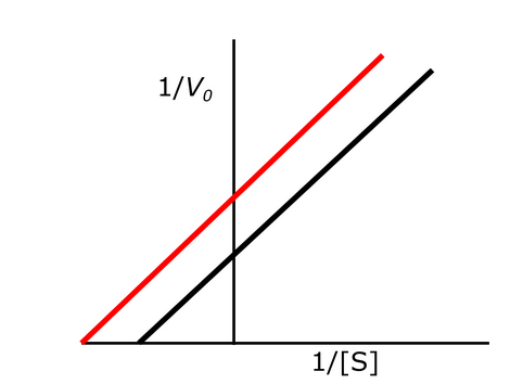 <p>Exam 1A-44</p><p>The following Lineweaver Burk plot shows an enzymatic reaction in the presence (left line) or absence (right line) of an inhibitor. What type of inhibitor is represented?</p><p></p><p>a. Noncompetitive reversible inhibitor</p><p>b. Uncompetitive reversible inhibitor</p><p>c. Irreversible inhibitor</p><p>d. Competitive inhibitor</p>