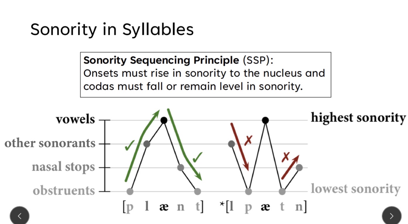 <p>Sonority</p>