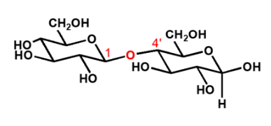 <ul><li><p>disaccharide</p><ul><li><p>glucose + glucose</p></li><li><p>equatoriaal gebonden</p><p></p></li></ul></li></ul><p></p>