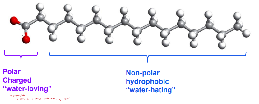 <ul><li><p>Molecules experience hydrophilic interactions and the hydrophobic effect.</p></li><li><p>Used for bigger molecules (amphiphilic). </p></li></ul><p></p>