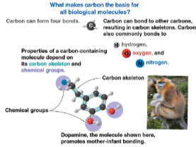 <p>Organic chemistry</p>
