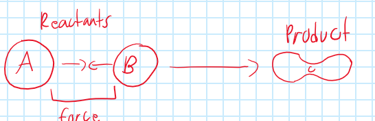 <p>In order for a reaction to occur, reactants must collide to form a new product.</p>