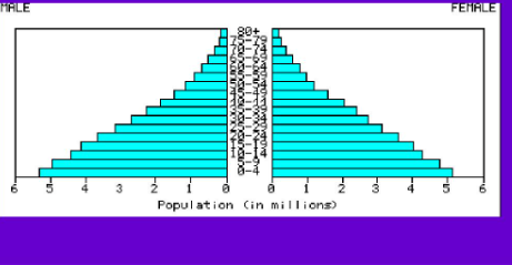 <p><strong>What stage of DTM is this? </strong></p>