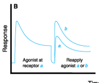 <p>The following graph represents what?</p>