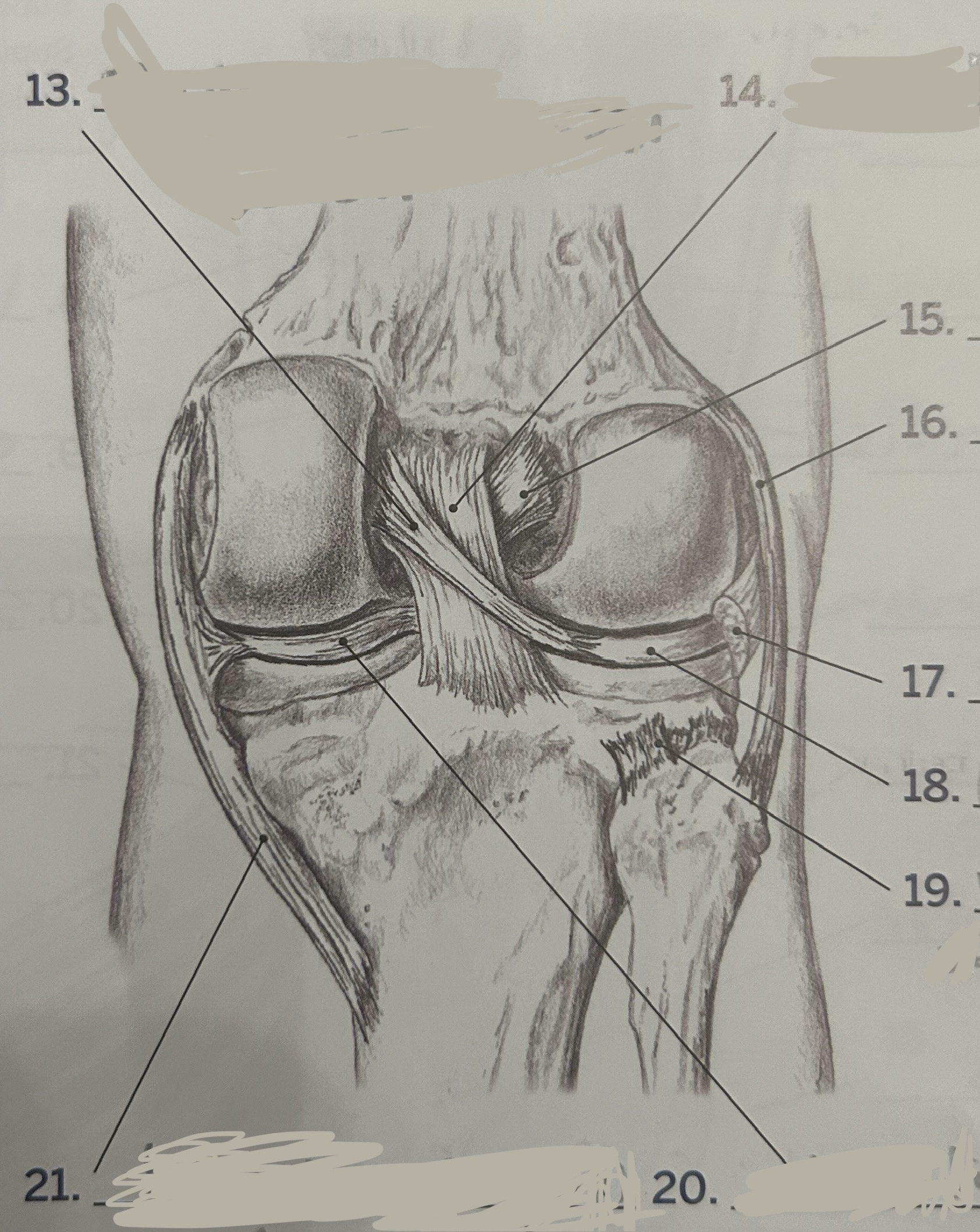 <p>13</p>