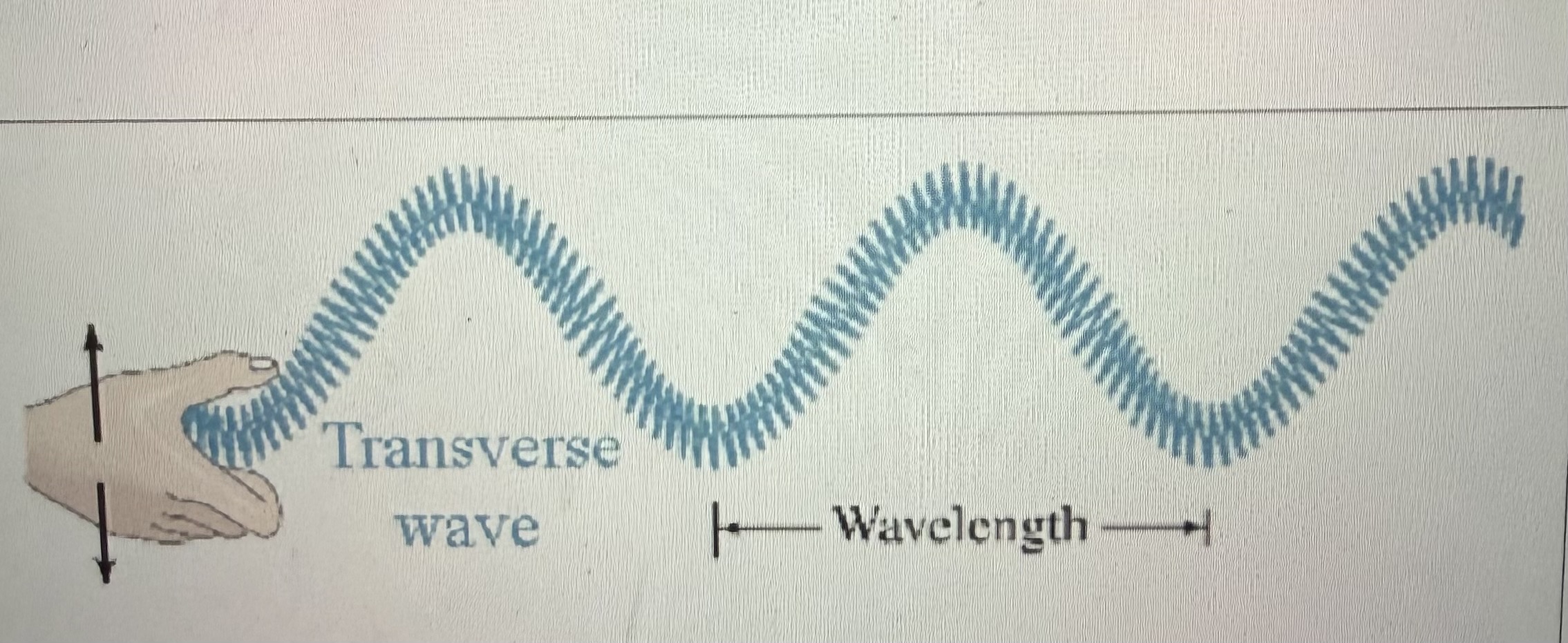<p>Particles that vibrate up and down, PERPENDICULAR to the direction the wave travels</p>