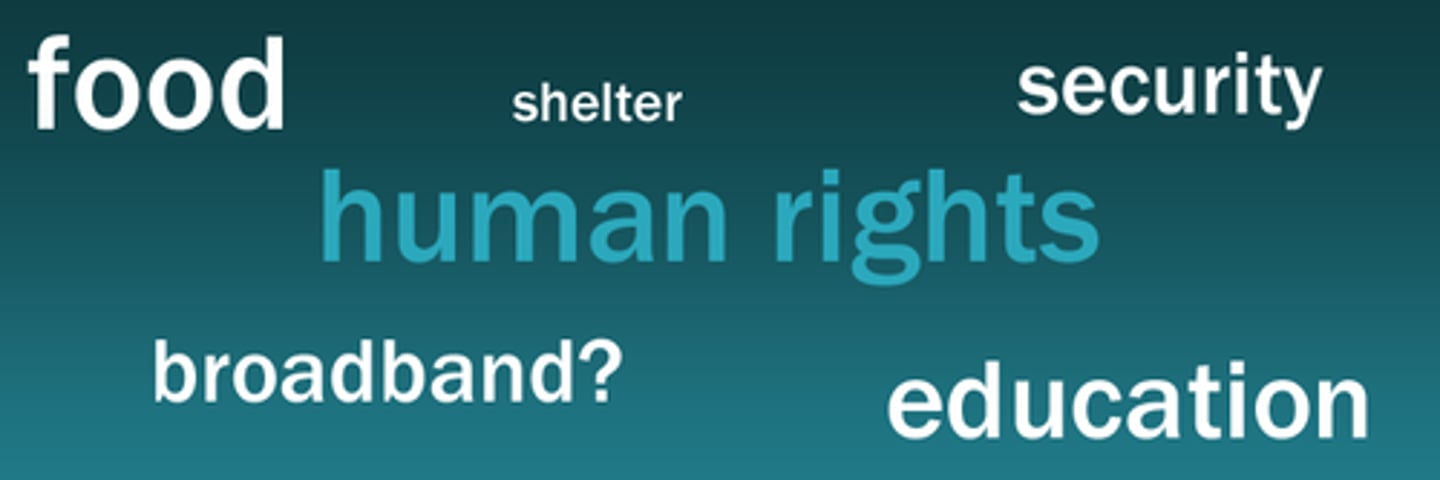 <p>a right that is believed to belong justifiably to every person.</p>