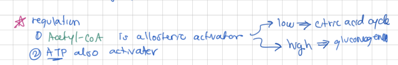 <p>1) <u>Acetyl-CoA</u> activates</p><p>2) <u>ATP</u> activates</p>