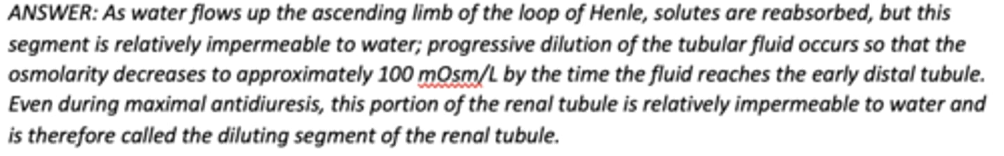 <p>B) Usually hypotonic compared with plasma</p>