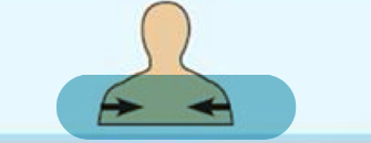 <p>Away from the body surface;more internal</p>