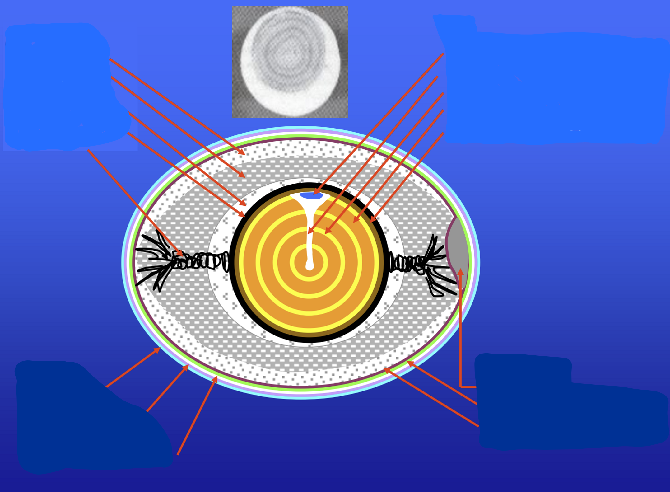 term image