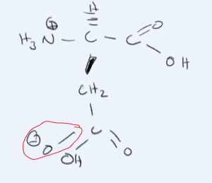 <p>What amino acid is this?</p>