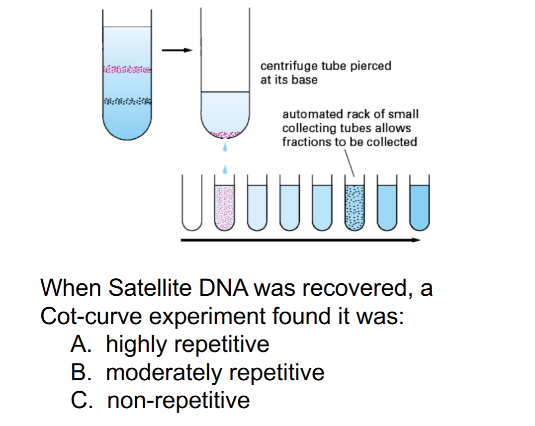 <p>What is the Answer?</p>