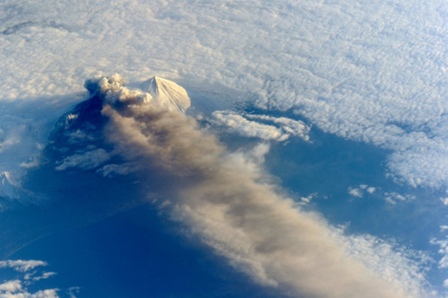 <p>a cloud formed of small particles of fractured rock injected into the atmosphere. Can travel long distances depending on the size of the eruption.</p>