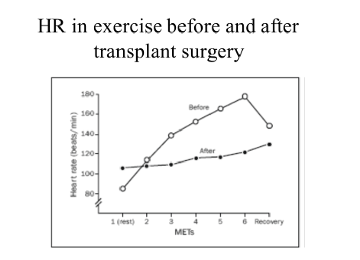 <ul><li><p>sympathetic stimulation</p></li><li><p>e.g during exercise</p></li><li><p>enhances Ca2+ entry</p></li></ul><p></p><p><em>in diagram: transplant= sympatheic fibres are severed→ so it is the heart that is responding to exercise and not the symathetic</em><strong><em> but</em></strong><em>&nbsp;this shows that both are happening</em></p>