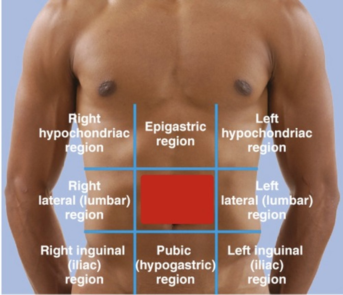 <p>9 quadrant: middle middle</p>