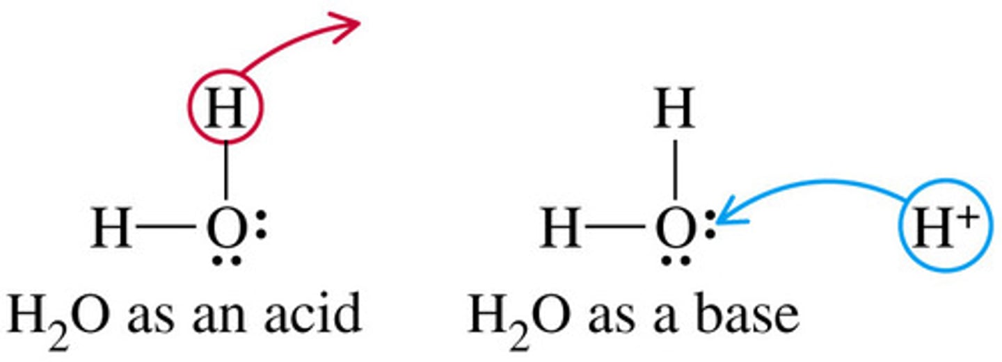 <p>a substance that can act as both an acid and a base and can react with both acids and bases; for example, amino acids</p>