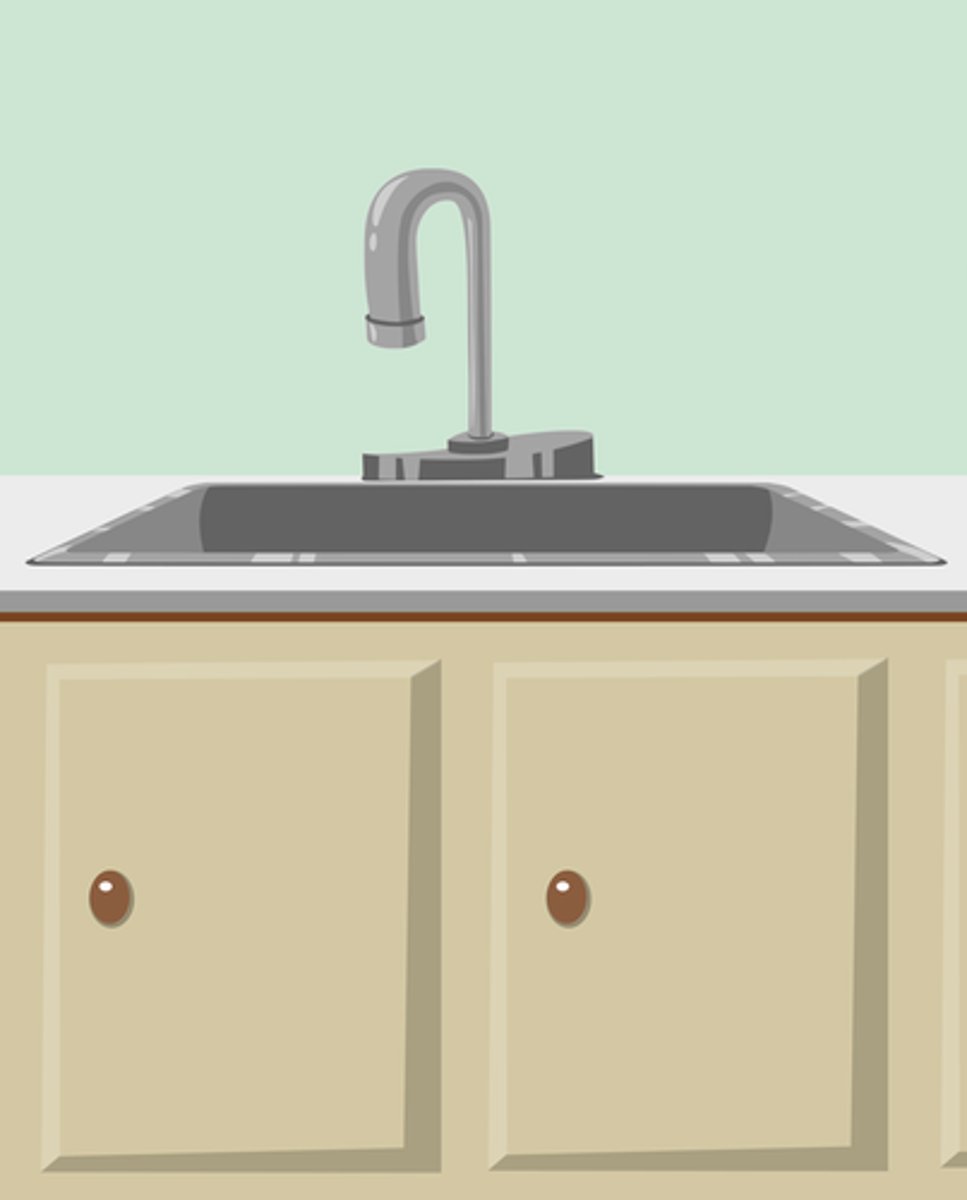 <p>(kitchen) sink</p>