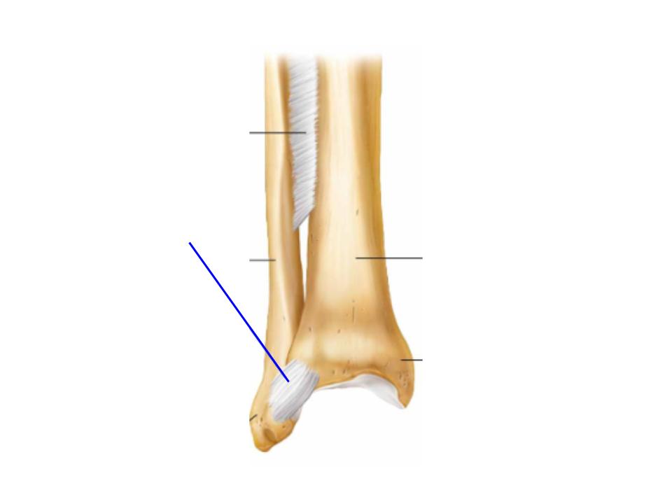 <p>What is this image pointing at? </p>