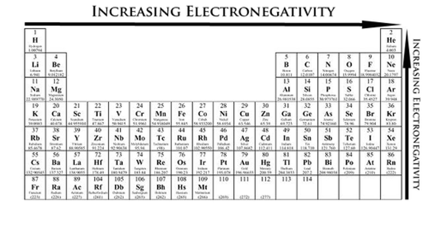 <p>-Increase as you go up and to the right on the periodic table</p><p>-Smaller atoms are generally more electronegative (participate more in bonding)-As you move to the right atoms tend to attract electrons (to be like noble gasses)</p><p>-tendency for an atom to attract shared electrons when forming a chemical bond</p>