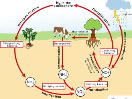 <p>What cycle is this?</p>
