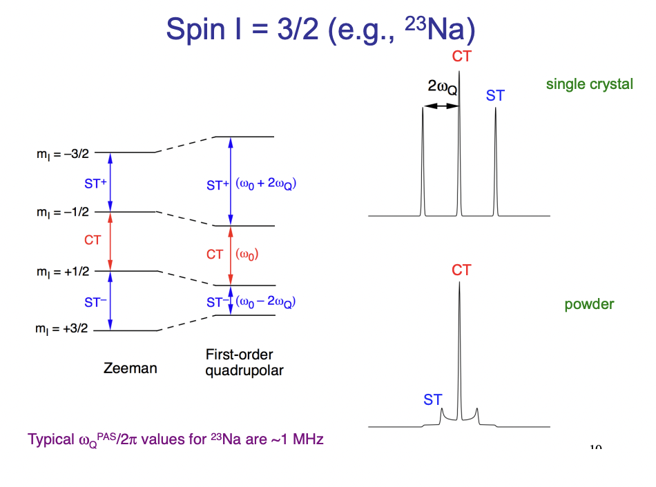 <p>CT = central transition = between 2 magnetic quantum states (+ve → -ve) </p><p>ST = satellite transition = between adjacent m(I) states (+ve → +ve etc.) = <strong>more sensitive to quadrupolar coupling </strong></p>