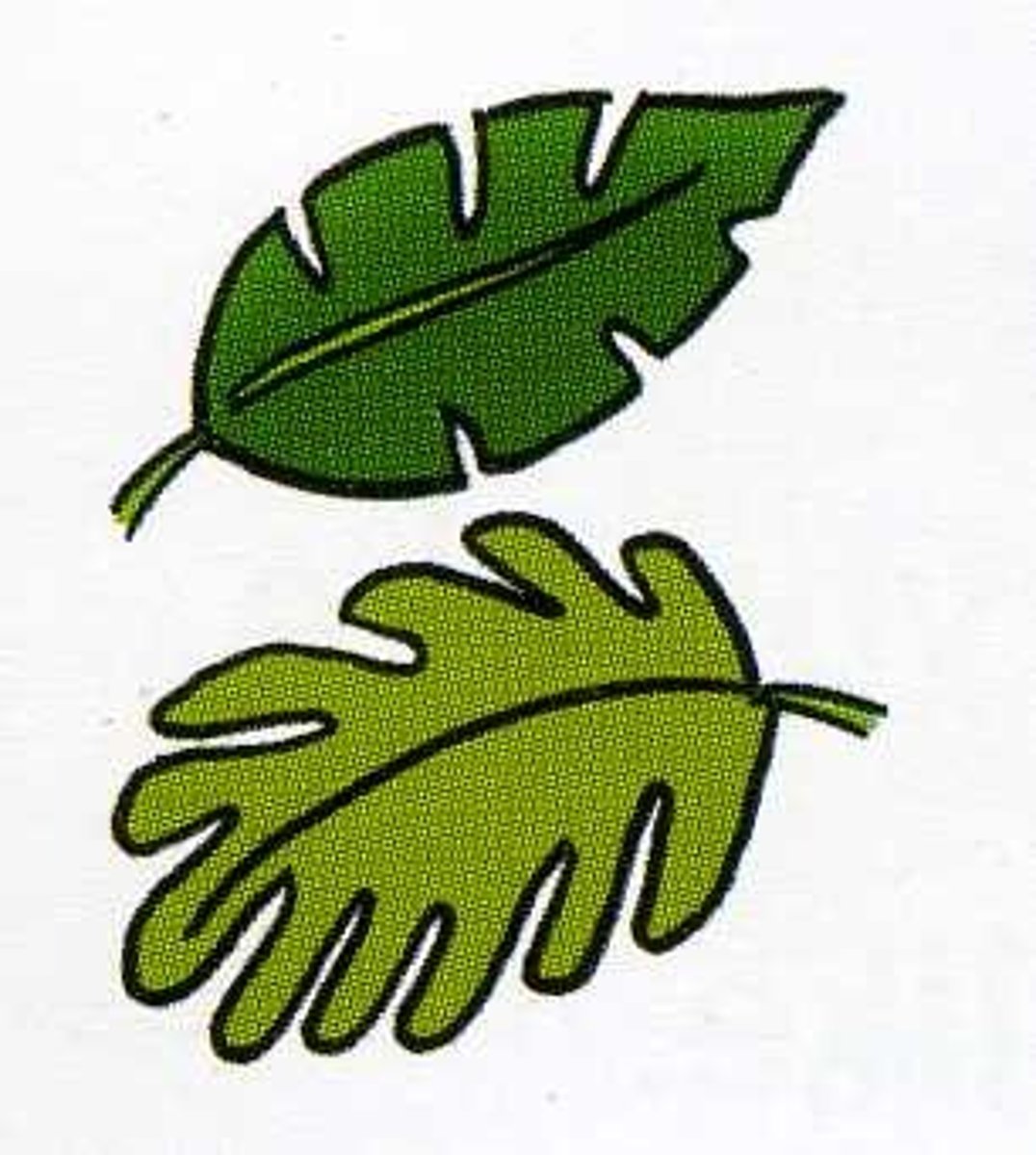 <p>nhiều cái lá</p>