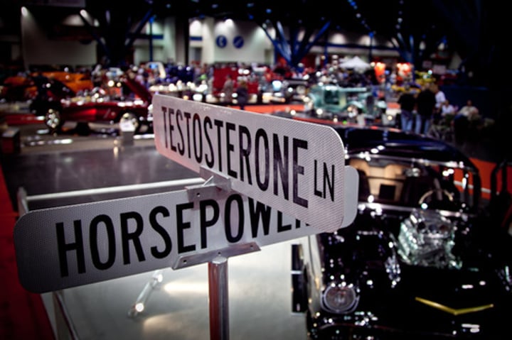 <p>Testosterone</p>