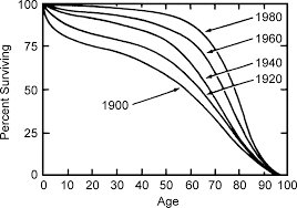 <p>Demographic transition</p>